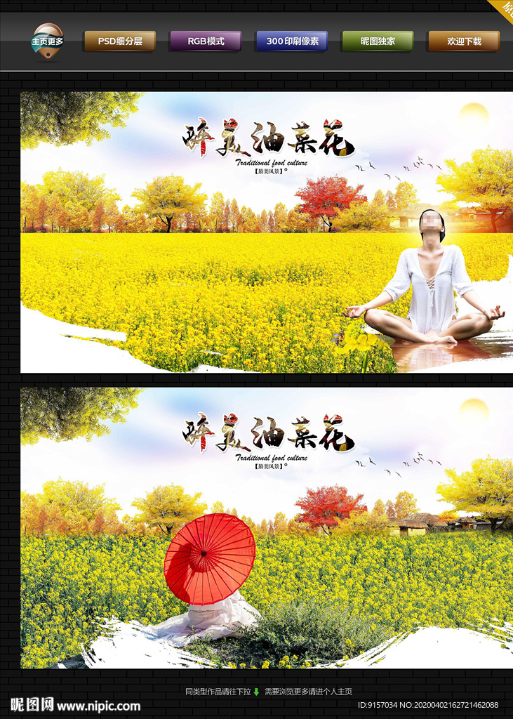油菜花
