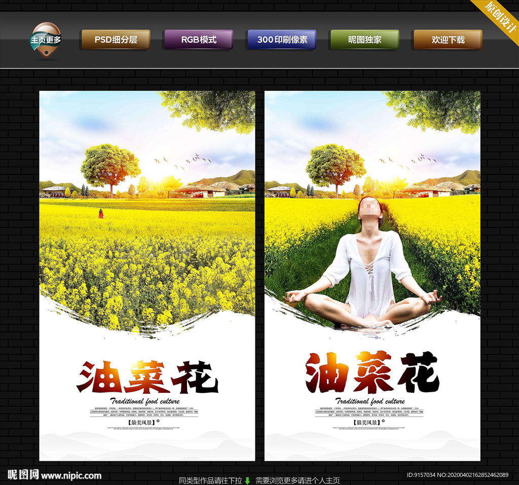 油菜花