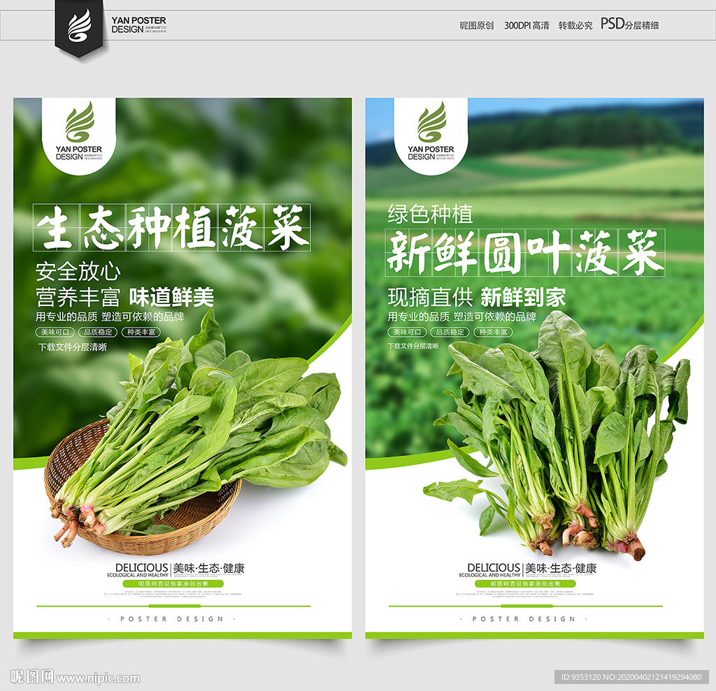 菠菜