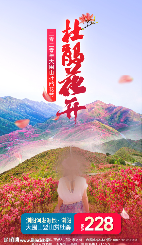 大围山杜鹃花海报