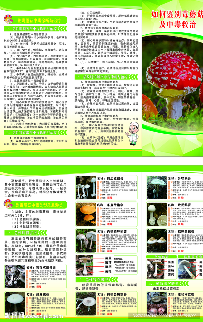 蘑菇中毒折页