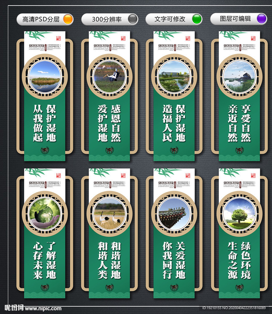 湿地保护 文化墙