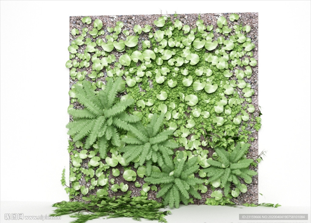 绿色植物墙