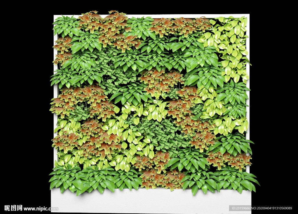 一面绿色植物墙