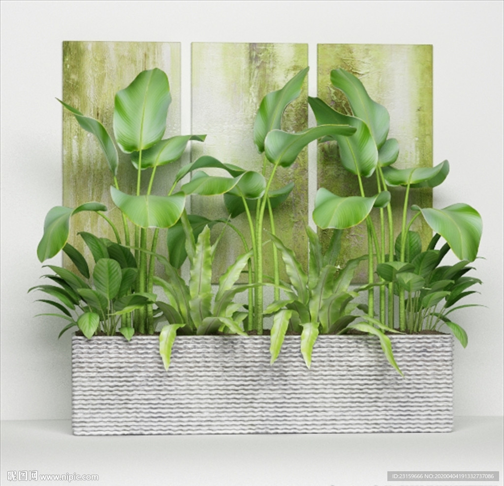 一组观赏性户外绿色植物