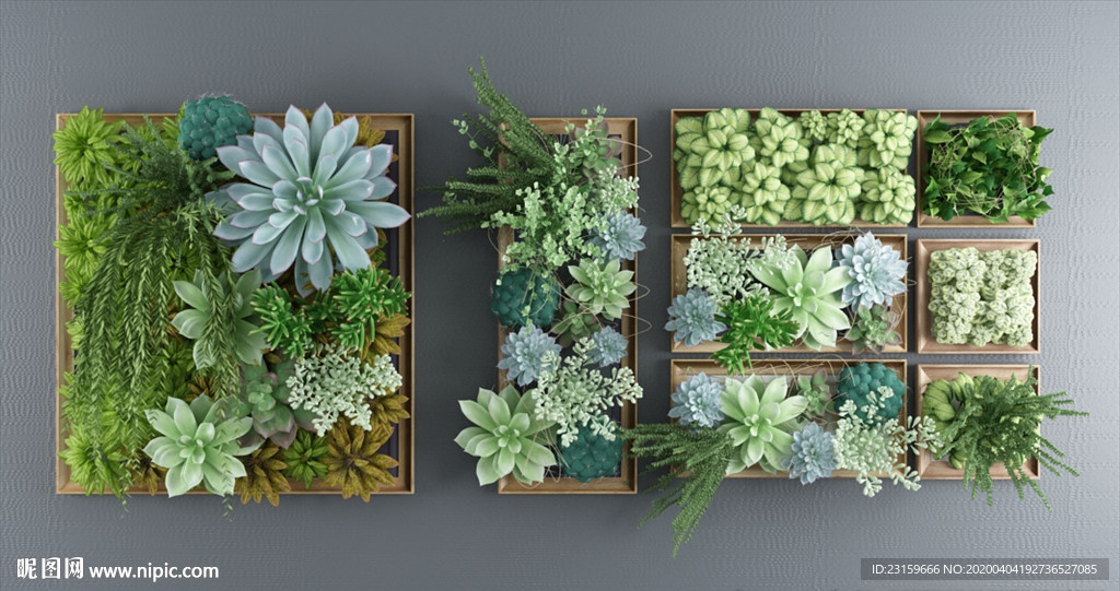 多肉绿植装饰墙