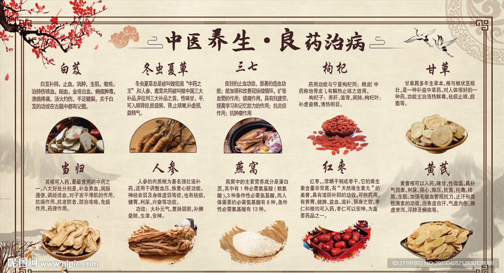 药材养生