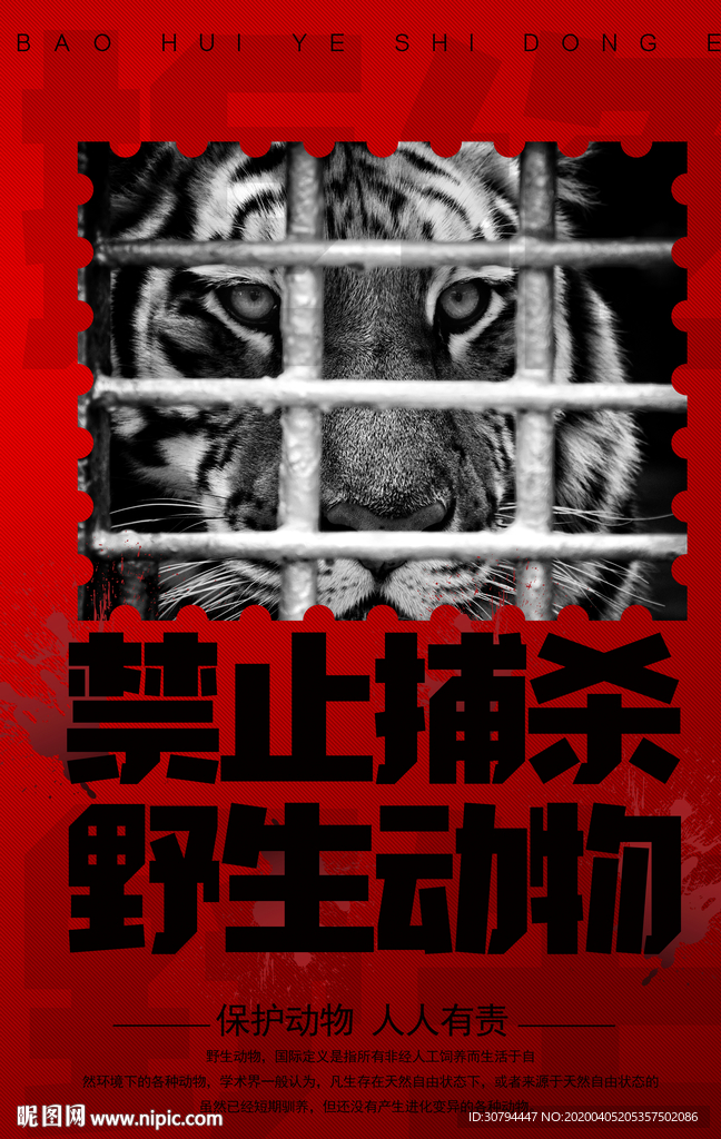 保护野生动物