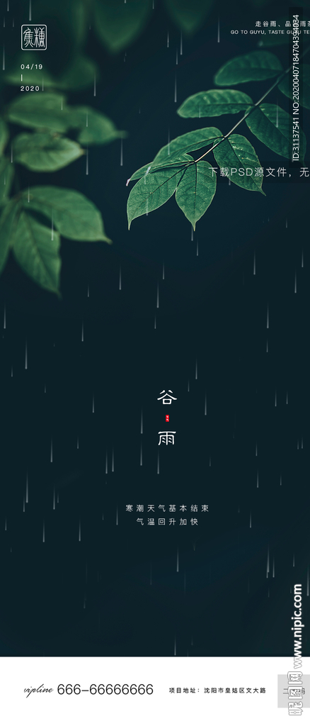 谷雨