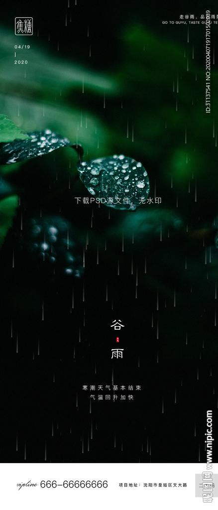 谷雨