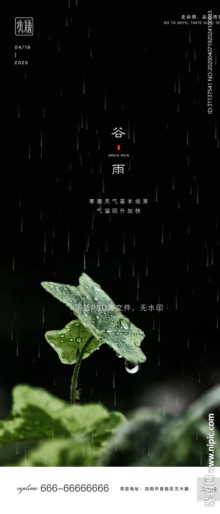 谷雨