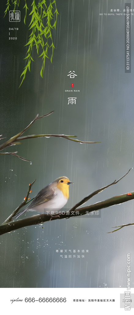 谷雨