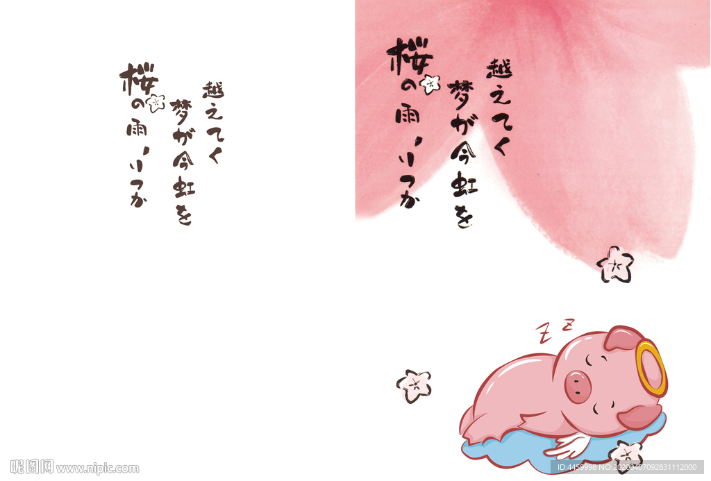 樱花猪