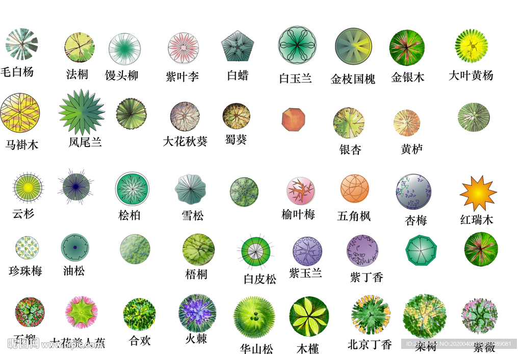 乔木素材贴图