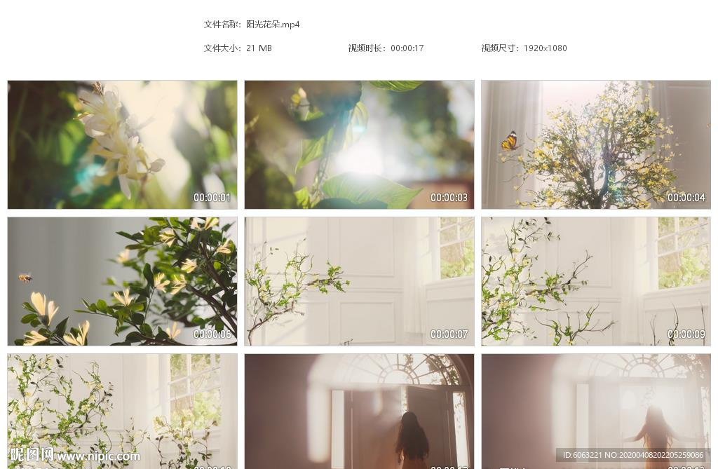 唯美阳光花朵植物生长蝴蝶采花