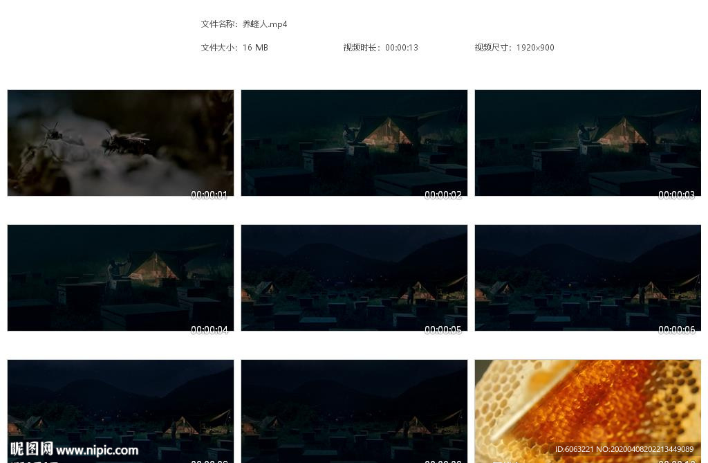 户外野蜂养蜂人蜂箱夜景峰蛹