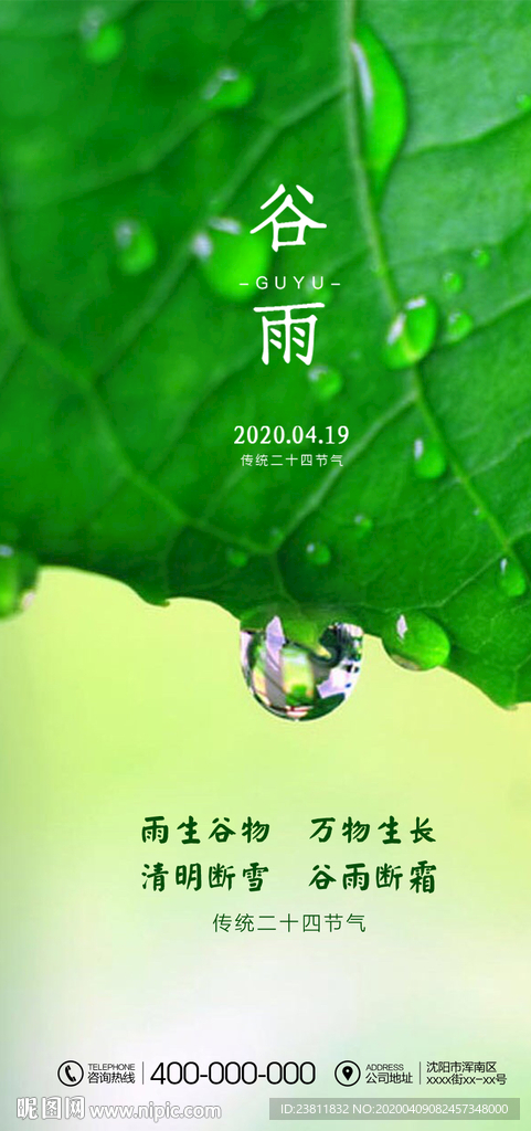 谷雨
