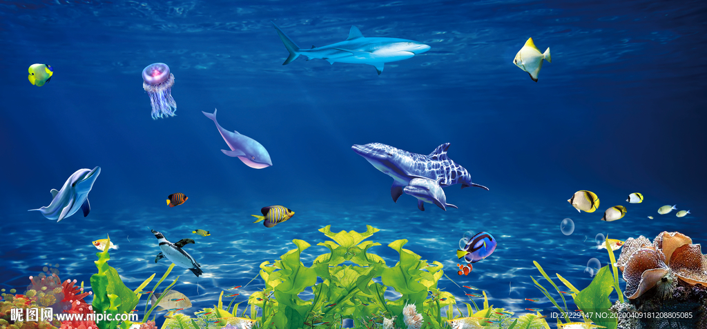 海洋生物