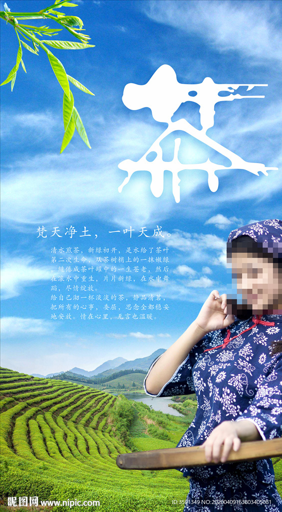 茶叶 茶道 茶文化 采茶 制茶
