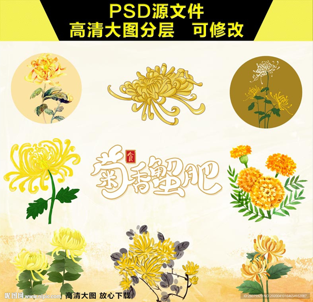 菊花