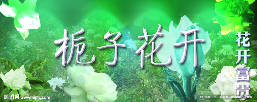 栀子花开