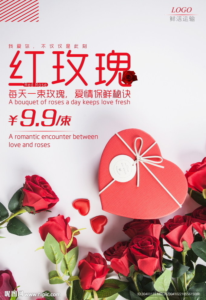 玫瑰花海报