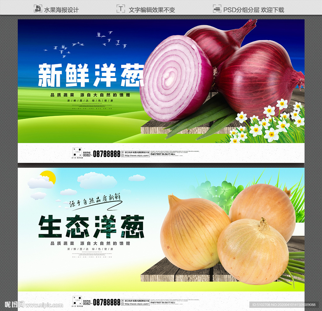 洋葱