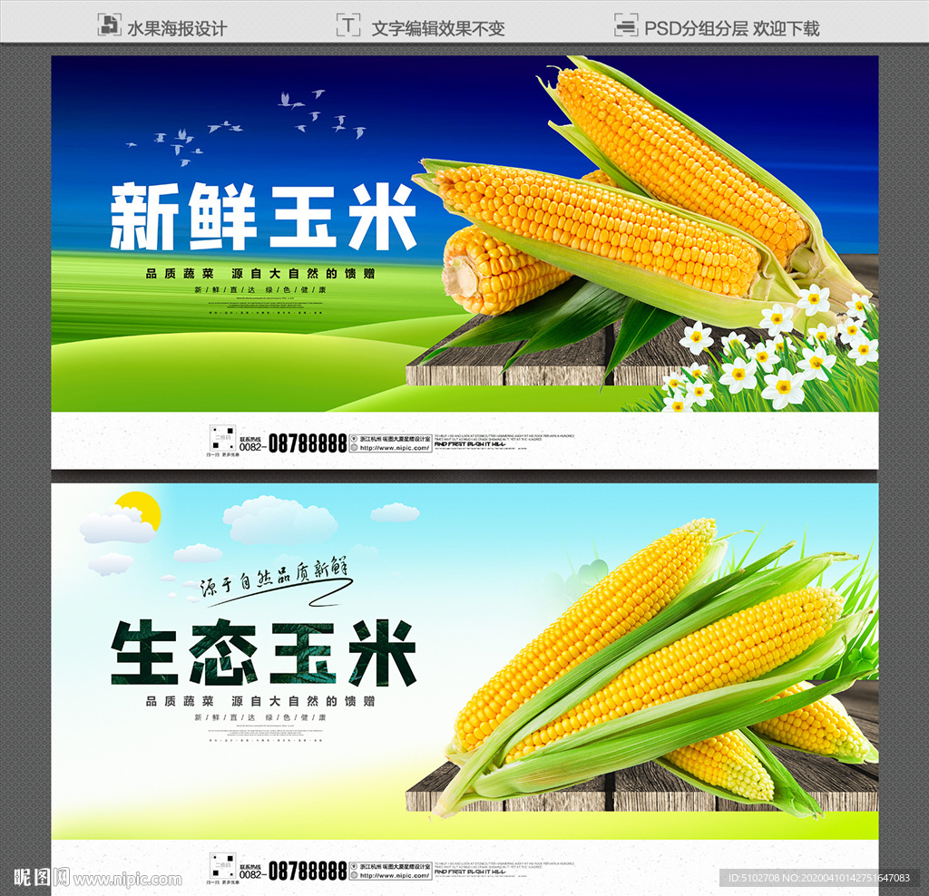 玉米