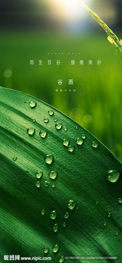 地产谷雨微信节气贴片