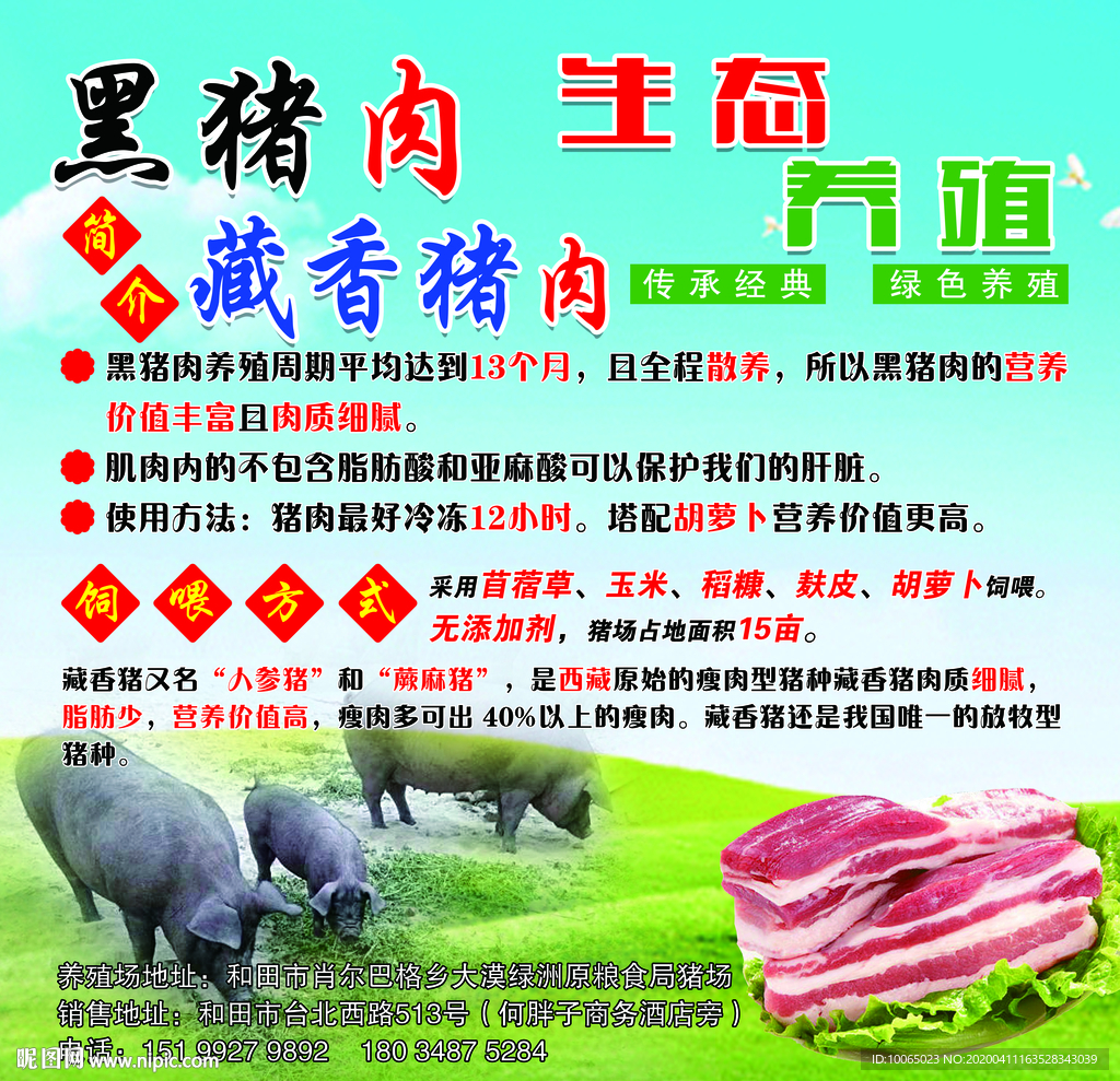 黑猪肉简介