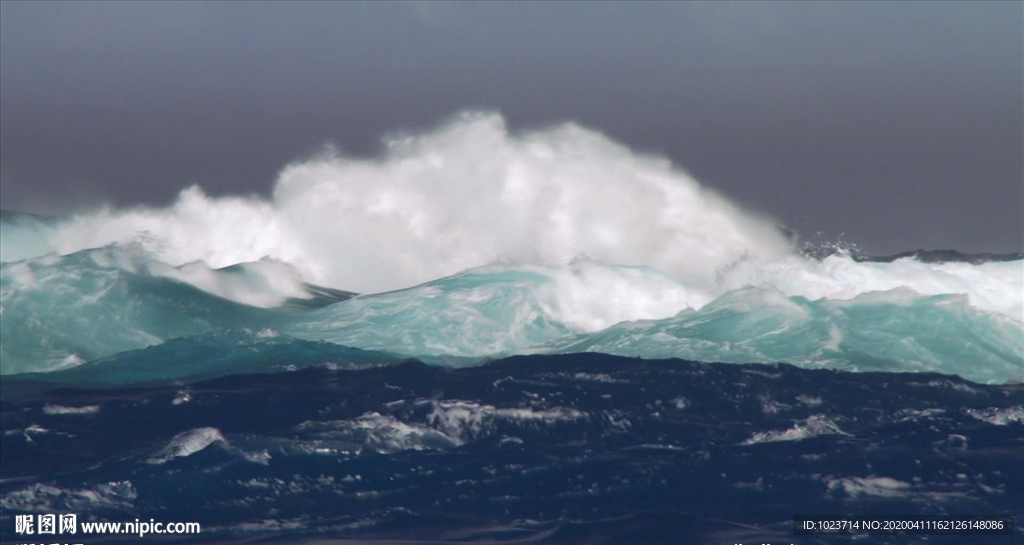 海浪汹涌鱼群