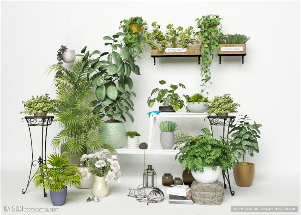 一组观赏绿色植物集合