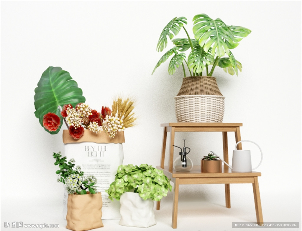 一组绿色观赏植物