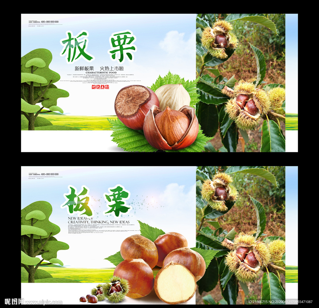 板栗