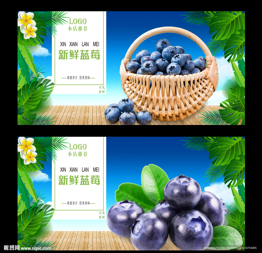 蓝莓