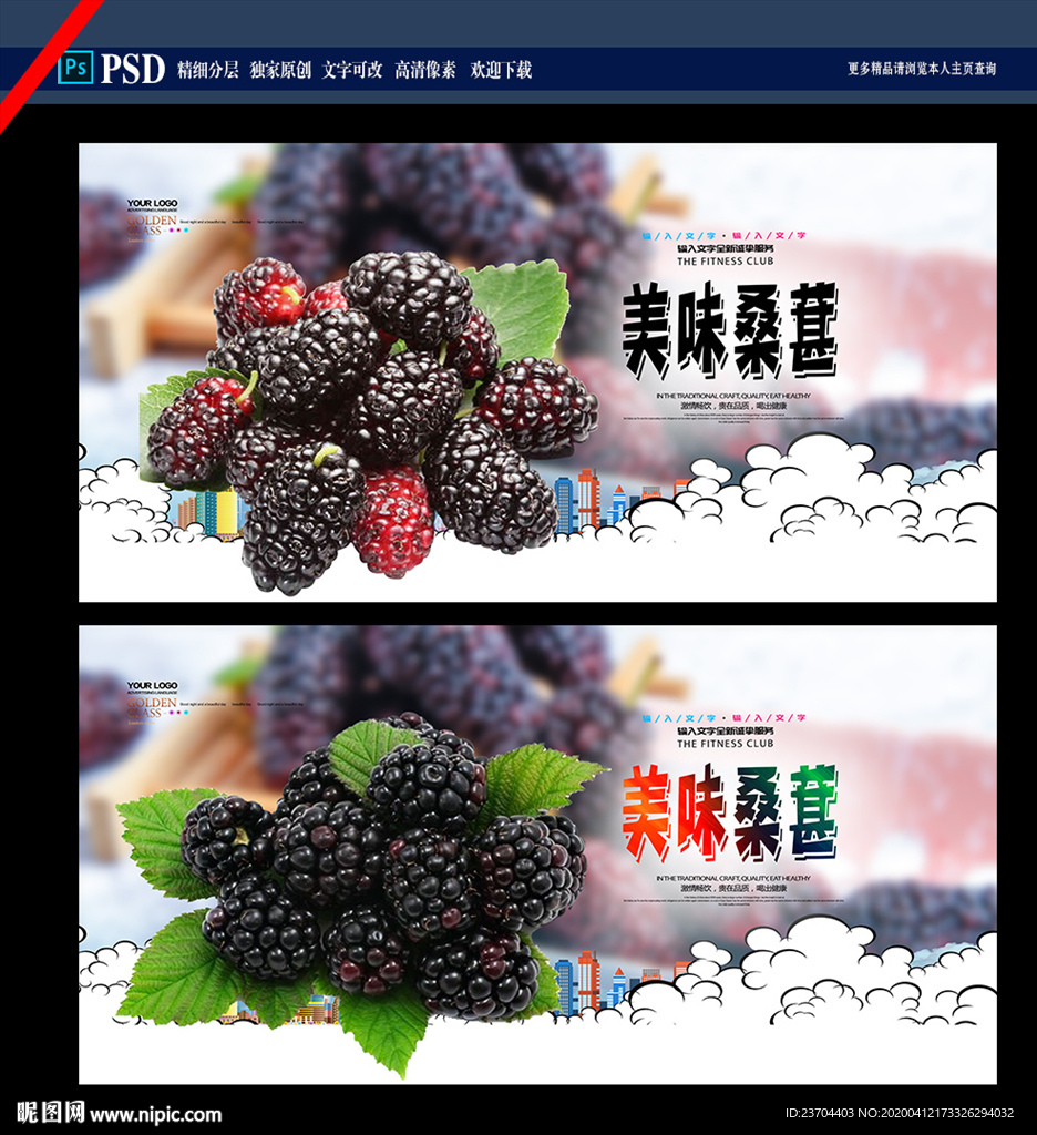 桑葚