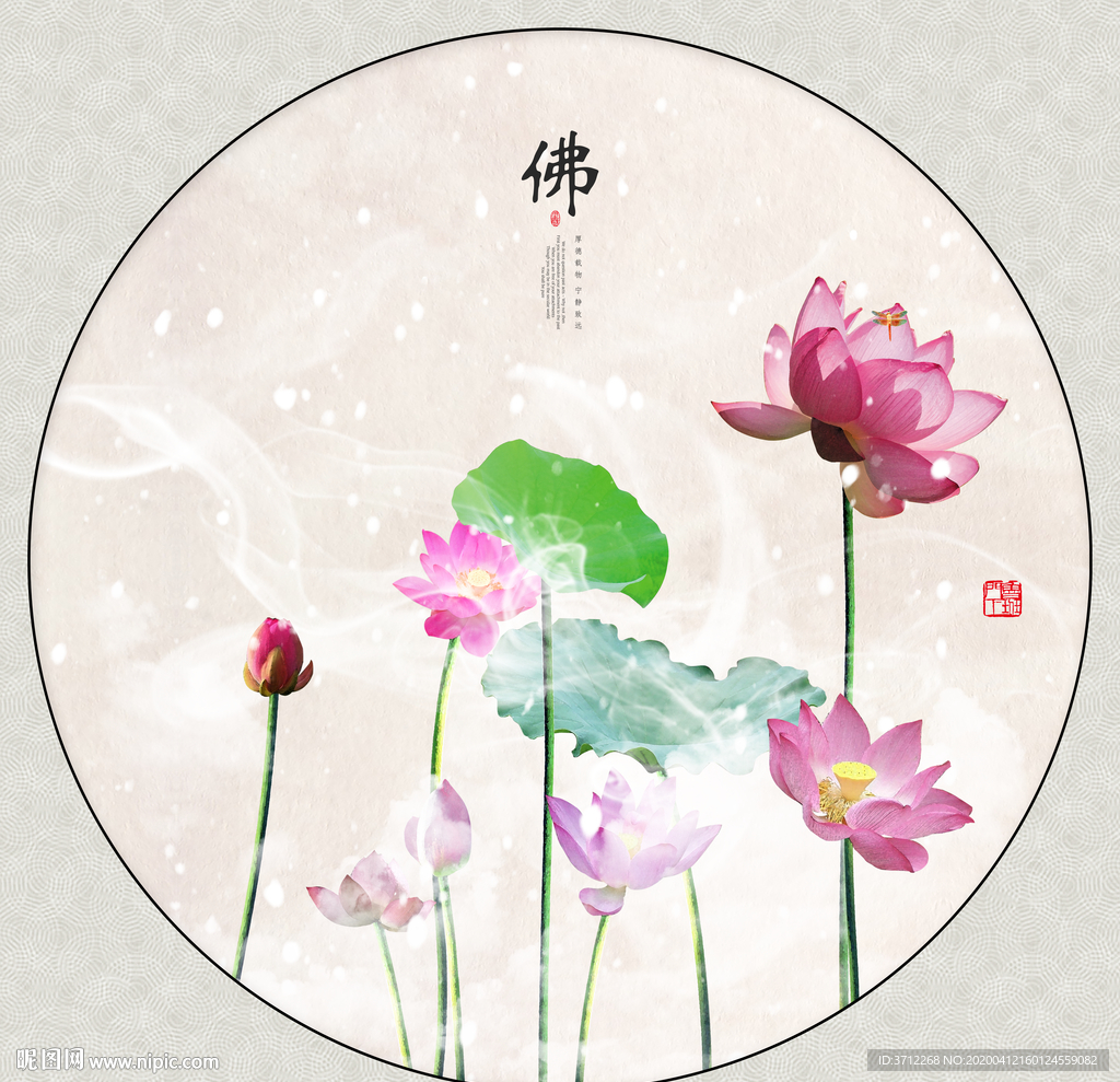 荷花