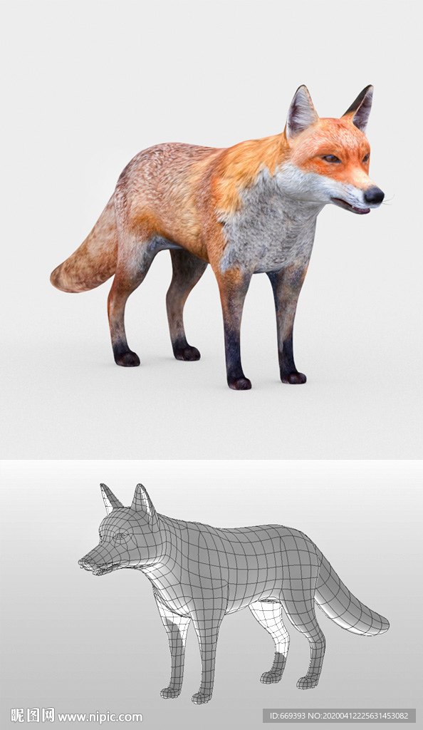 狐狸3D模型