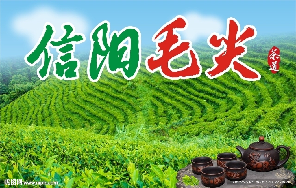 绿色背景 信阳毛尖 茶叶海报