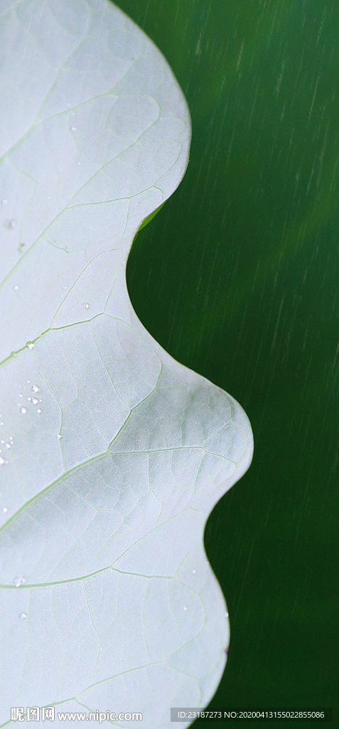 清明节