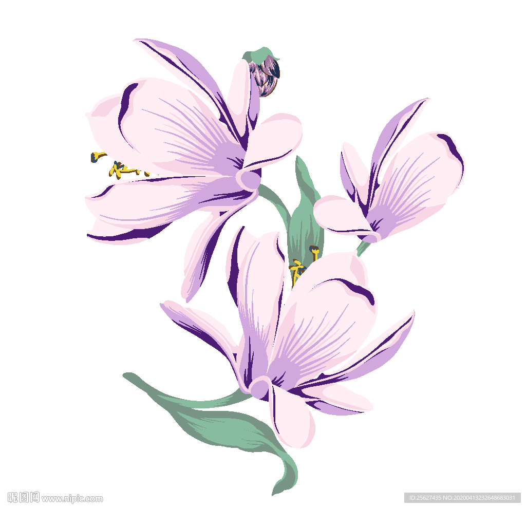 广玉兰玉兰花元素