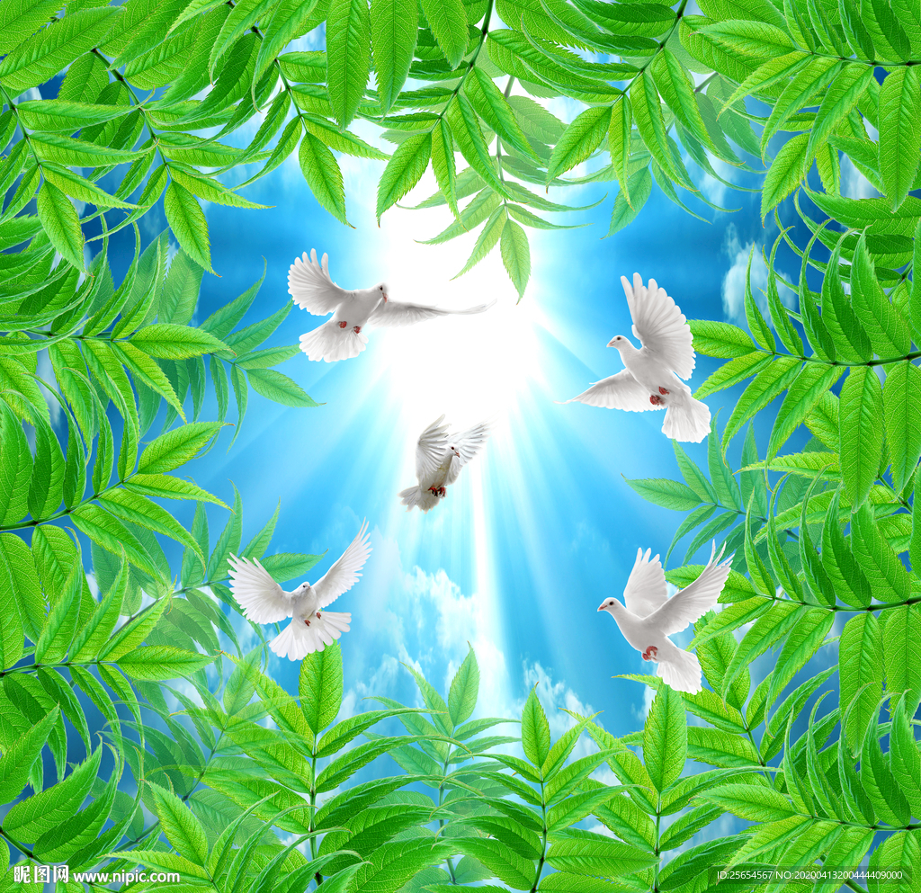 蓝天白云鸽子树叶天顶壁画背景墙