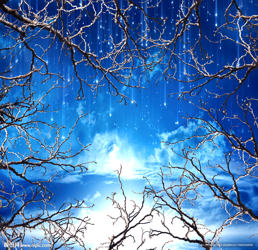梦幻森林星空油画天顶吊顶壁画