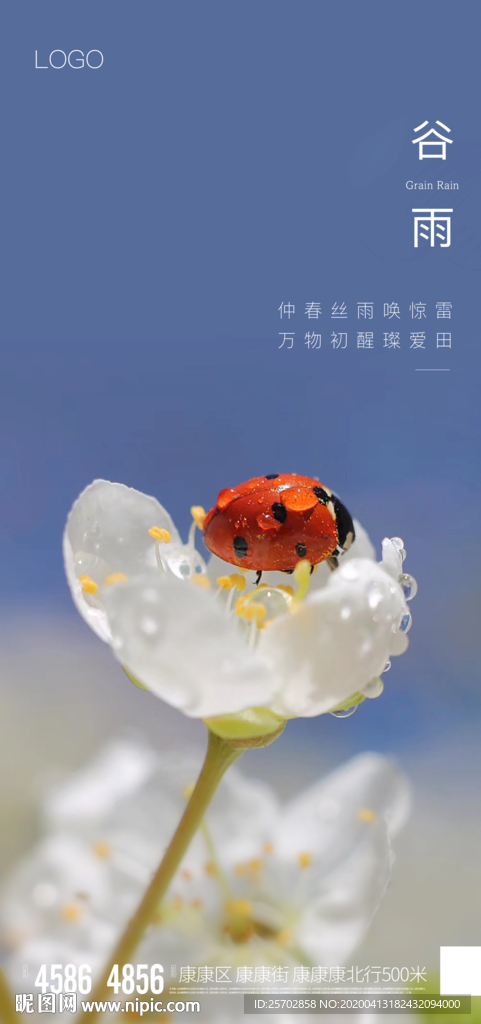 谷雨