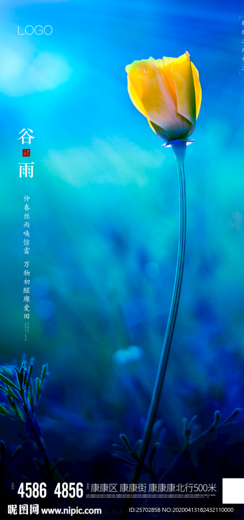 谷雨