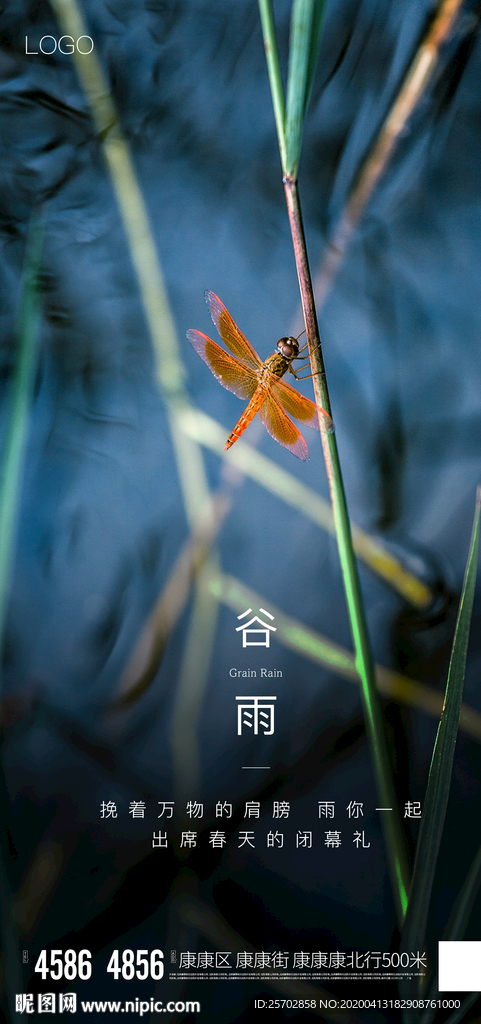 谷雨