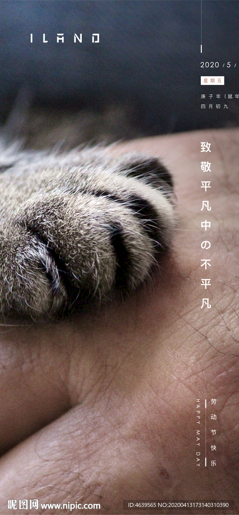劳动节海报