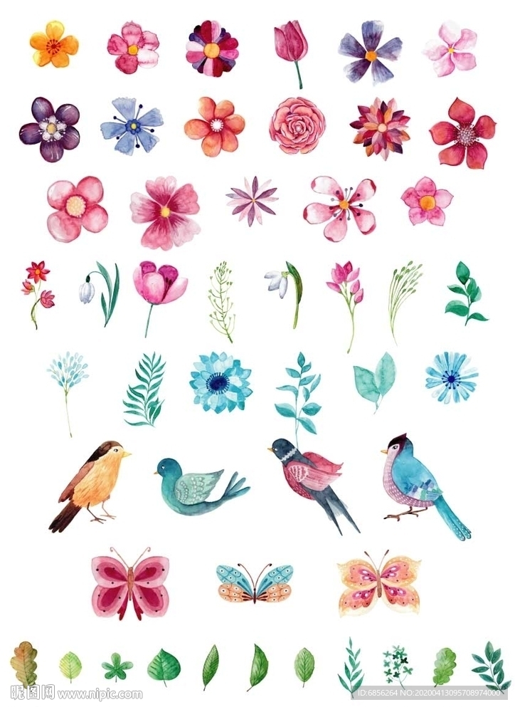 手绘 水彩 花卉植物鸟 素材