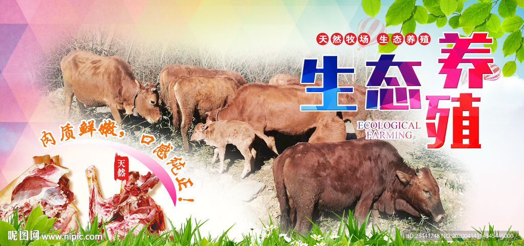 黄牛肉