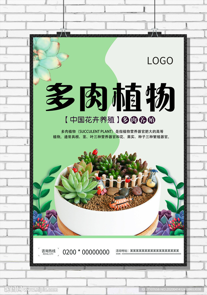 多肉植物